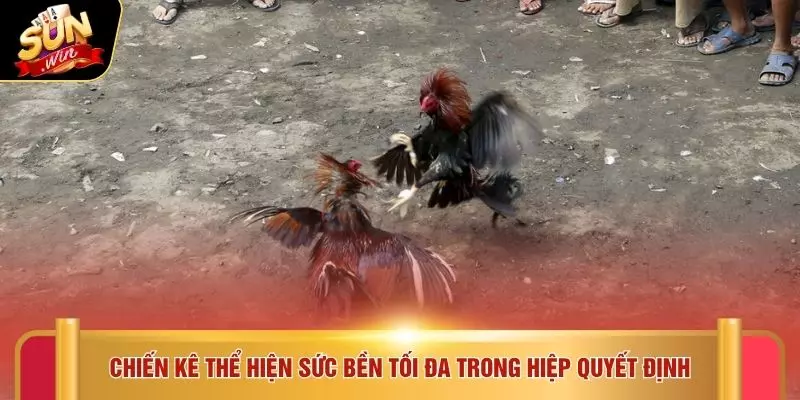 Chiến kê thể hiện sức bền tối đa trong hiệp quyết định