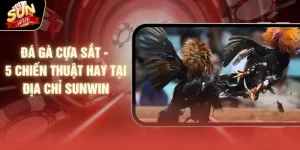 Đá Gà Cựa Sắt - 5 Chiến Thuật Hay Tại Địa Chỉ SUNWIN