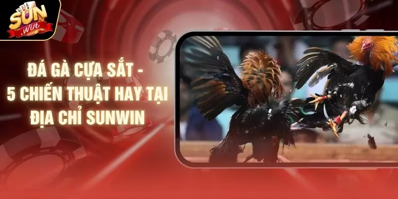 Đá Gà Cựa Sắt - 5 Chiến Thuật Hay Tại Địa Chỉ SUNWIN