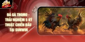 Đá Gà Thomo - Trải Nghiệm 5 Kỹ Thuật Chiến Đấu Tại SUNWIN