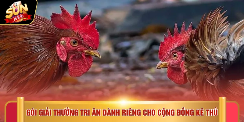 Gói giải thưởng tri ân dành riêng cho cộng đồng kê thủ